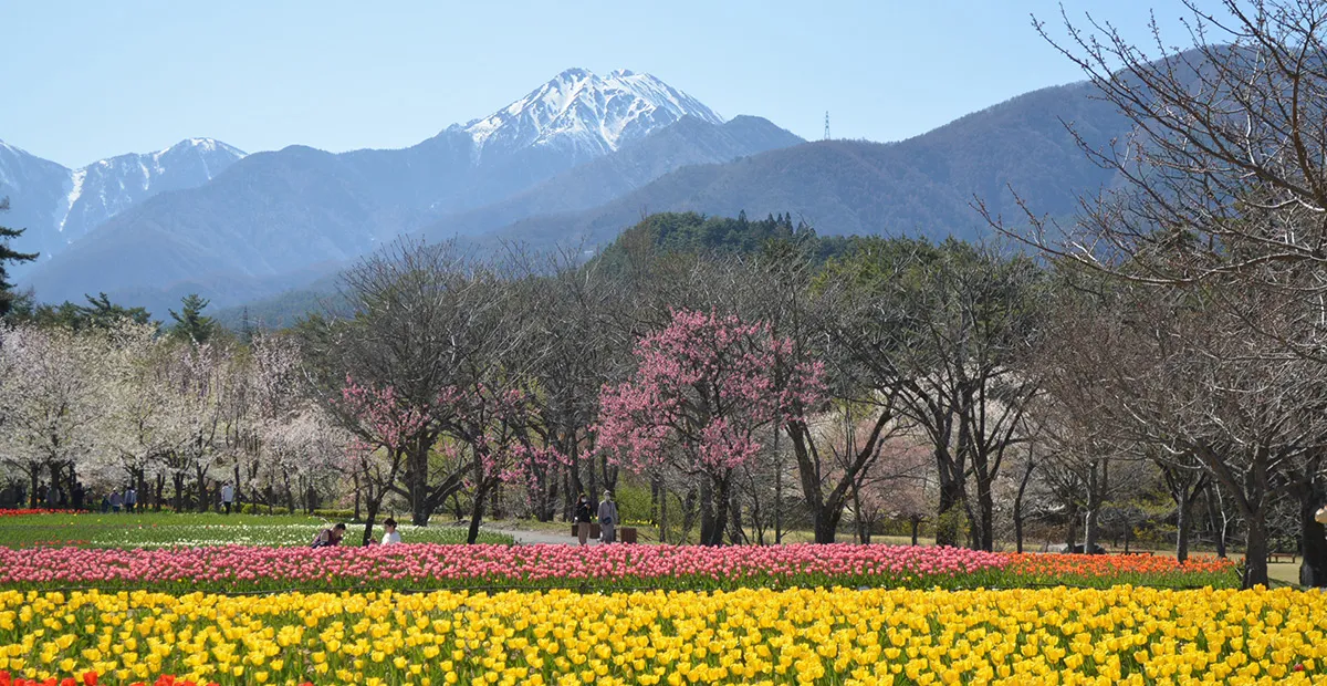 堀金・穂高地区