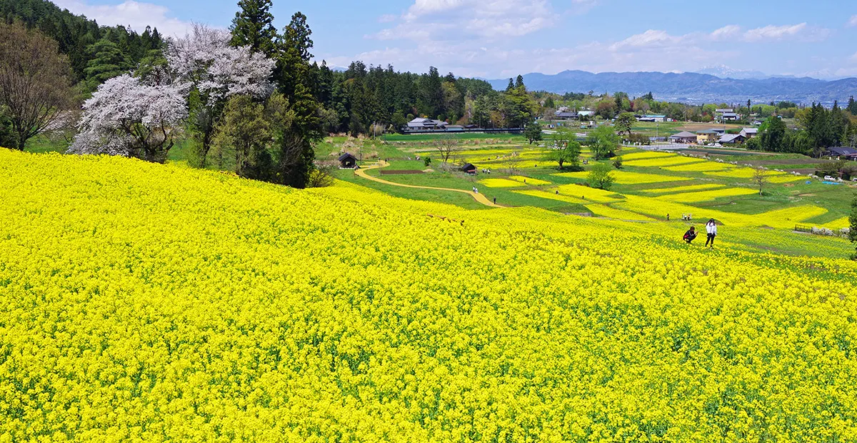 堀金・穂高地区