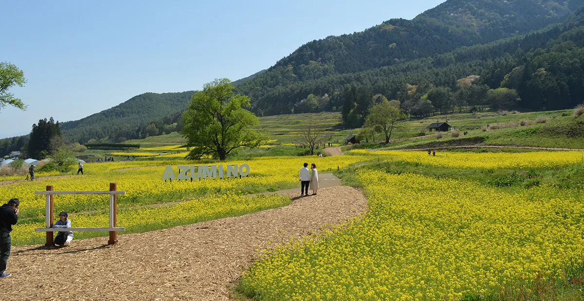 堀金・穂高地区